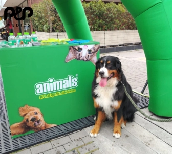 Apuéstale al lado emocional del consumidor Perrito al lado de la publicidad