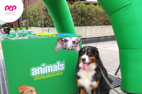 Apuéstale al lado emocional del consumidor Perrito al lado de la publicidad