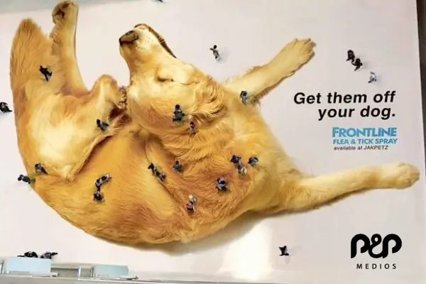 Casos de éxito de servicios BTL para marcas y empresas Publicidad de un perro